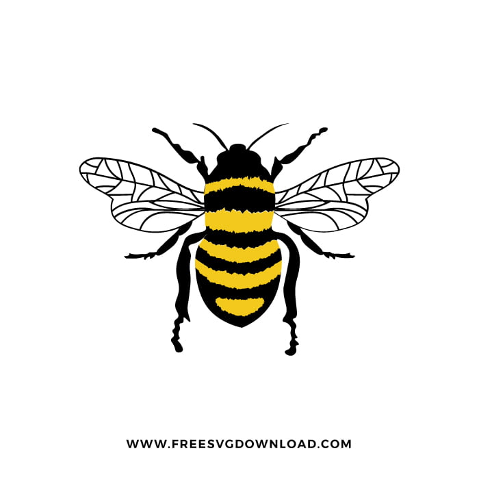 Bee Free Svg Png Free Svg Download Animal Svg Cut Files