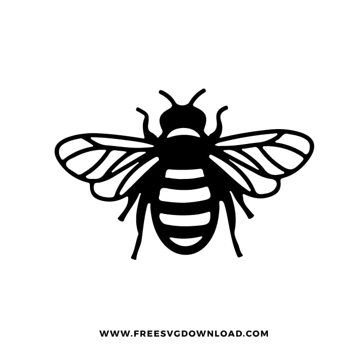 Layered Bee SVG
