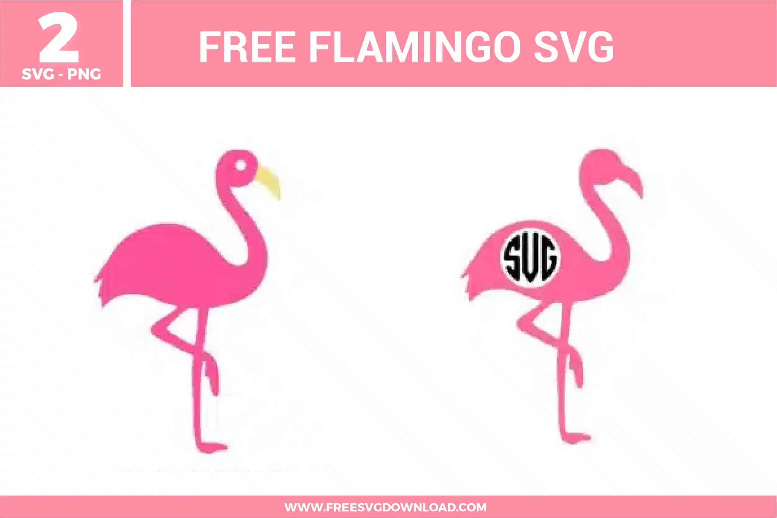 Flamingo Free SVG Files